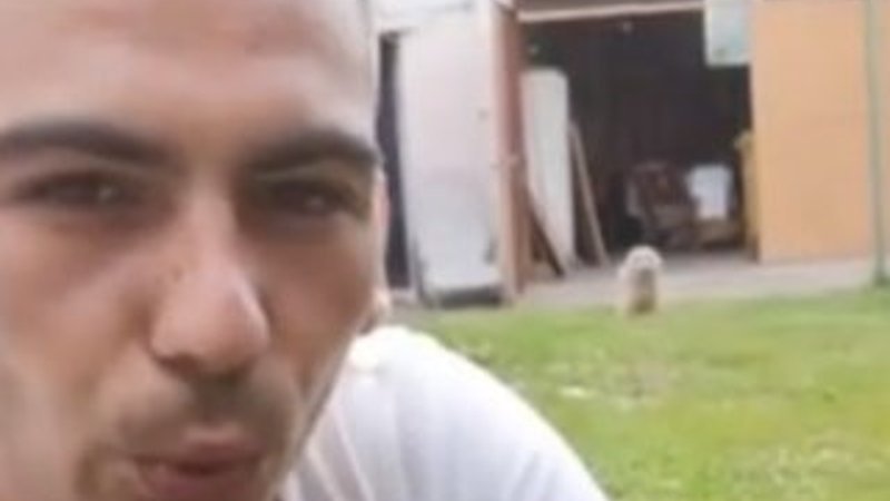 Bir ıslıkla sahibine koşan yavru baykuş