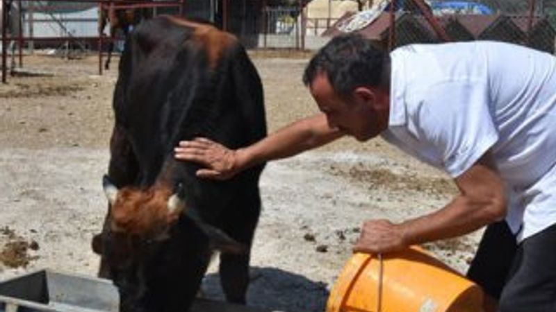Haluk Levent, kurtardığı Ferdinand ile buluştu