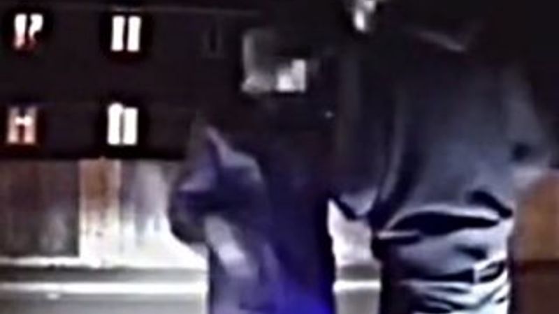 Danimarka'da sigorta dolandırıcıları polise denk geldi