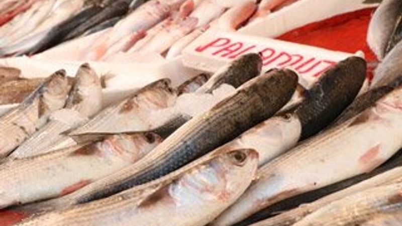 Balık tezgahlarında bolluk fiyatlara yansıdı