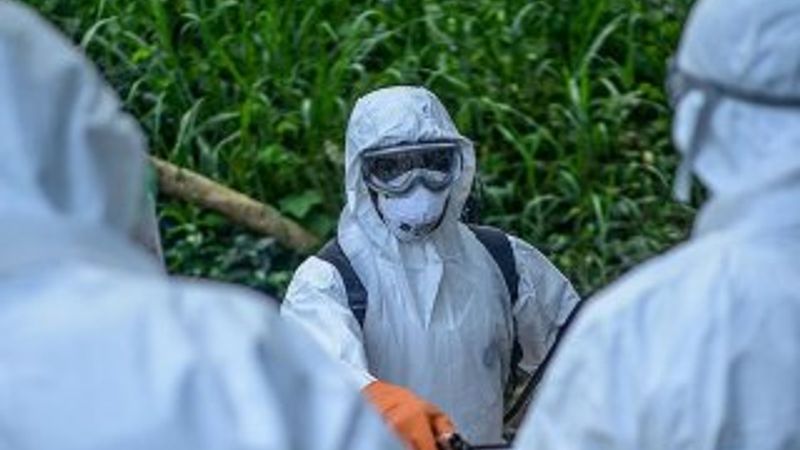 Madagaskar’da veba salgını: 2 ölü