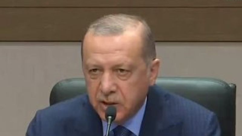 Başkan Erdoğan, MHP'nin af teklifini değerlendirdi