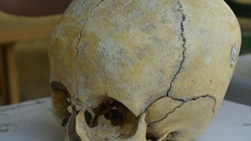 Statülerini göstermek için kafatasları değiştirilmiş