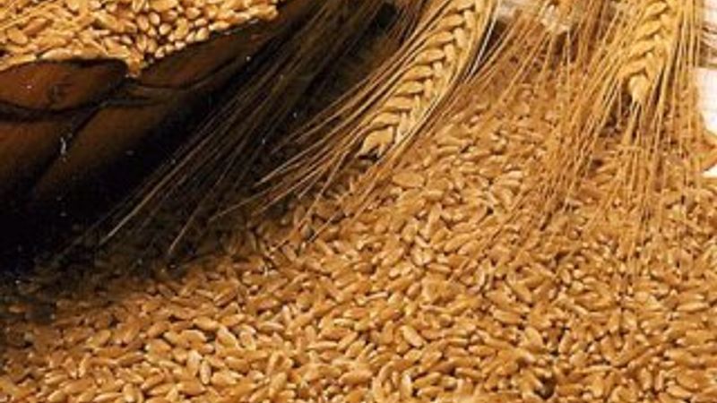 Türkiye, ilk kez Rusya'dan ruble ile buğday alacak