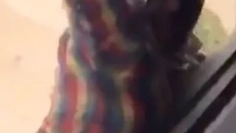 Kuveyt'te insanlık ölmüş dedirten görüntüler