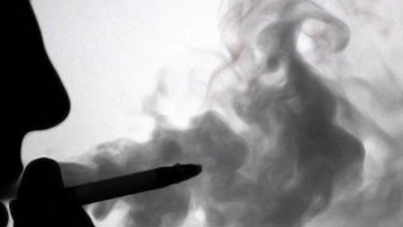 Sigara doğayı da öldürüyor