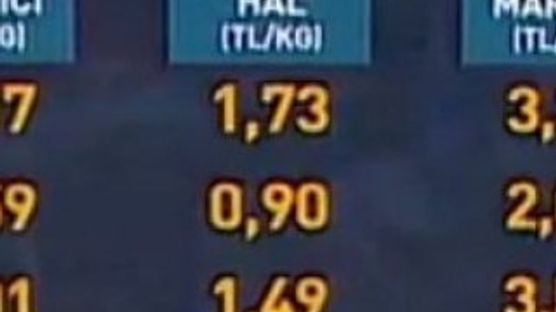 Hal yasasının gerekliliğini gösteren tablo