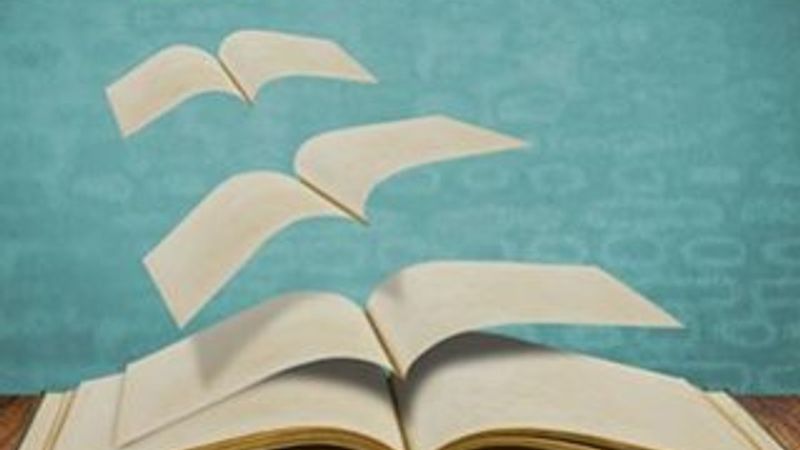 Edebiyatta eleştiri ve eleştirmenin önemi nedir