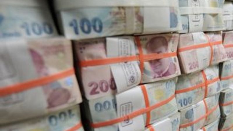 Bedelliden devletin kasasına giren para