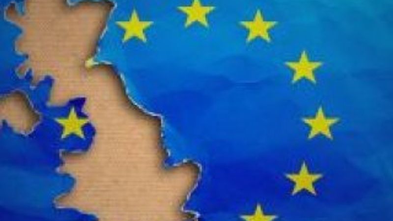 The Sun: Kabinede 5 bakan Brexit'i destekleyecek