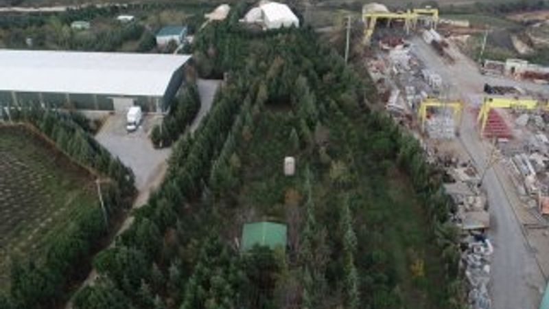 Ağaçların kesilmemesi şartıyla arazisini bağışlayacak