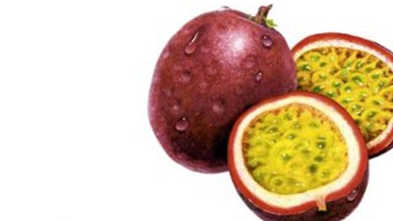 Çarkıfelek meyvesi nedir