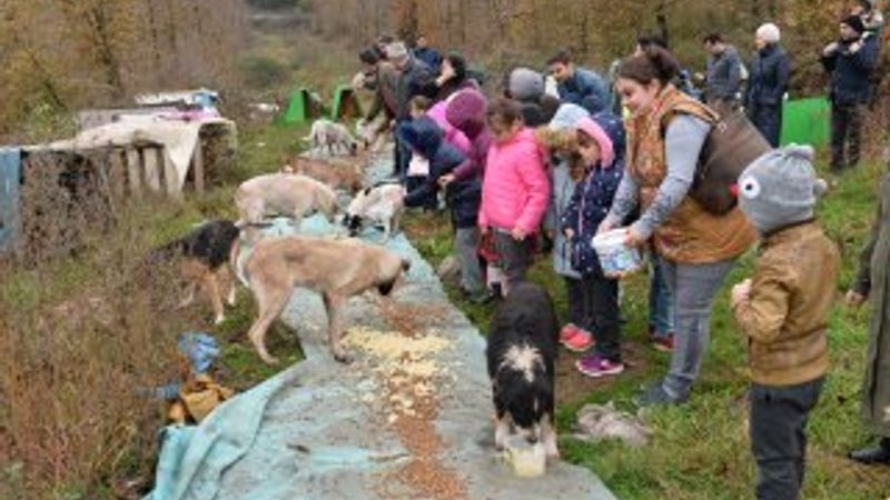 Öğrencileriyle yemek artıklarını hayvanla dağıtıyor