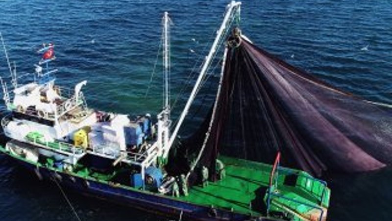 Balıkçıların yüzü hamsi ile gülüyor