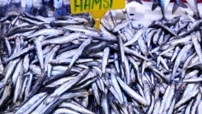 İthal somon yerine yerli hamsi çağrısı