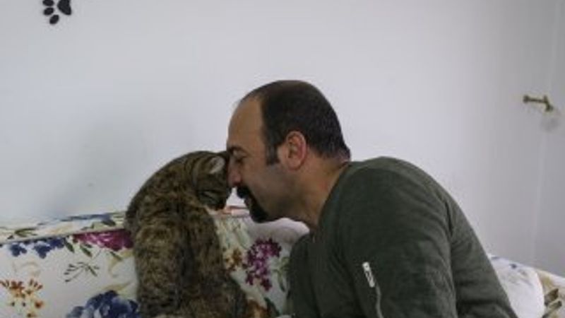 İki bacağı olmayan kediyi sahiplendi