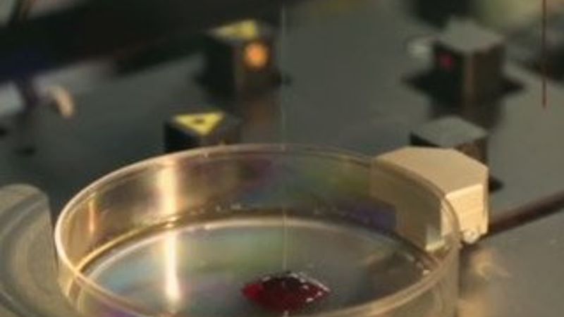 3D yazıcıyla uzayda fare tiroidi üretildi