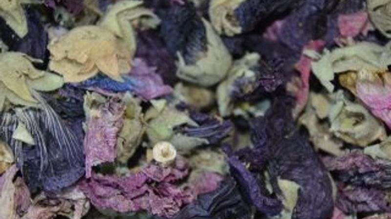 Soğuk hava kış çaylarına yönlendirdi