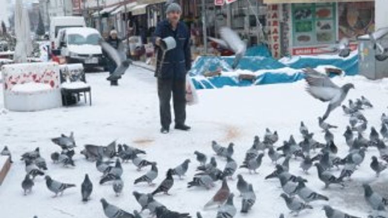 Esnaf güvercinleri aç bırakmıyor