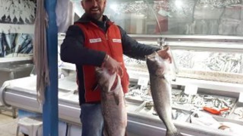 Oltayla 10 kilo levrek avladı