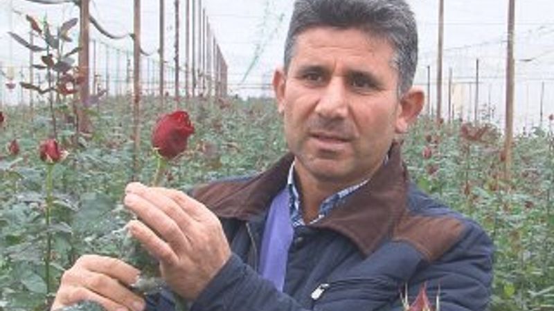 Çiçek üreticileri işçi bulamamaktan şikayetçi