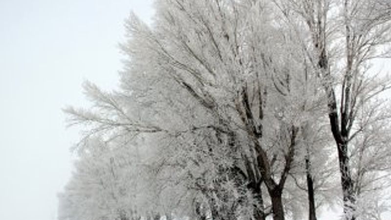 İstanbul'da hava sıcaklıkları 4 derece düşecek