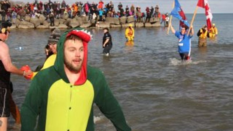 Kanada'da bir gelenek: Kutup Ayısı Dalışı