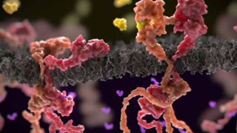 İngiltere’de ‘Nefes Biyopsisi’ testine başlandı