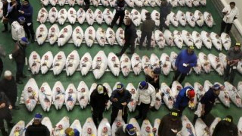 16 milyon liraya orkinos