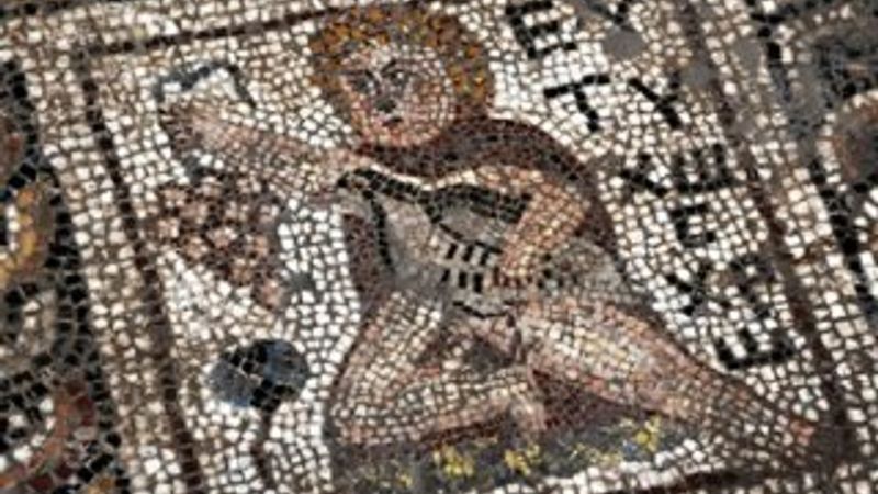 Binlerce yıllık mozaikte turp figürüne rastlandı