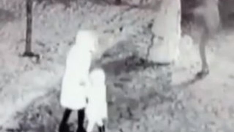 Konya'da kardan adama saldırı