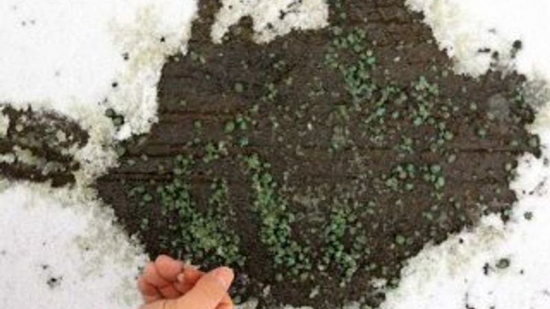 Türk kimyager üretti: Buz Yak