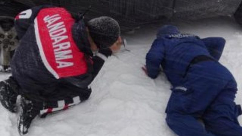 Otomobilin altında kalan köpeği jandarma kurtardı