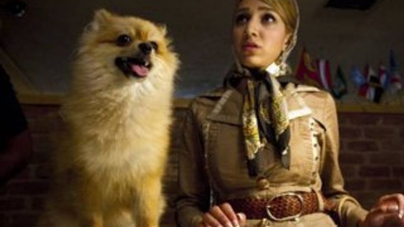 Tahran'da köpek gezdirmek artık suç