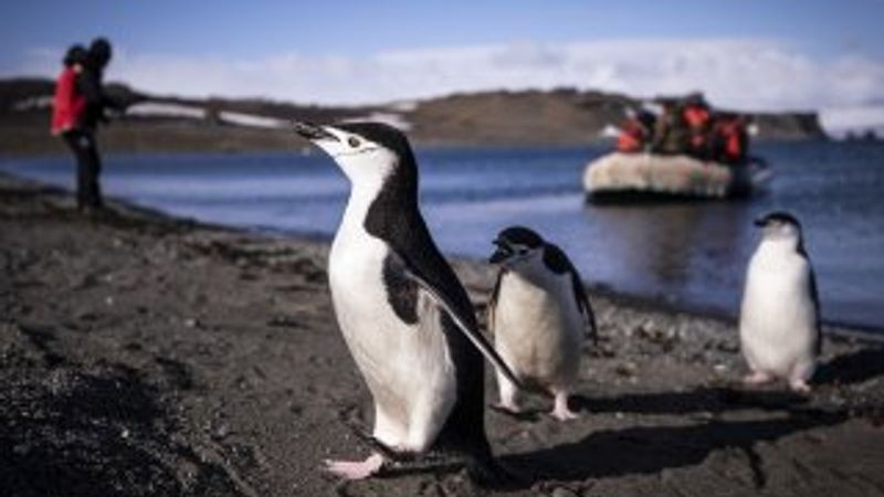 Türk ekibi Antarktika'ya ayak bastı