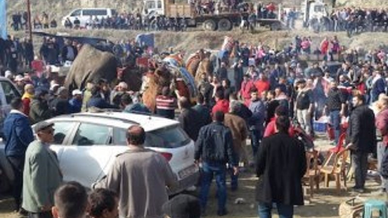 Seyircilerin arasına dalan deve korkuttu