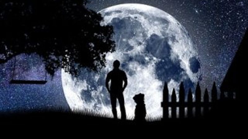 Kalender meşrep nedir