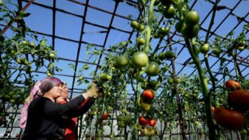 Halciler Federasyonu Başkanı fiyatları değerlendirdi