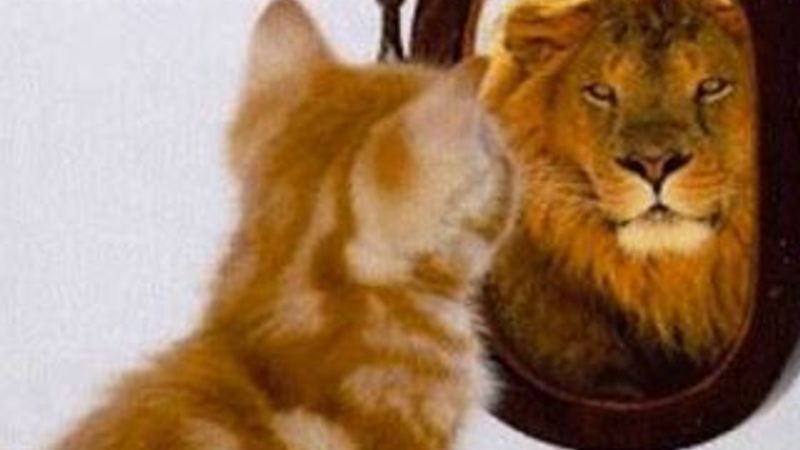 Dunning-Kruger Sendromu nedir