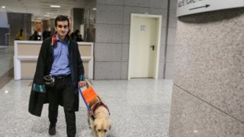Görme engelli avukatın yoldaşı: Rehber köpek Tabs