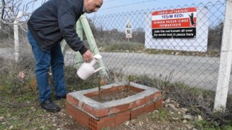 Kedi Yeşim için mezar yaptırdı