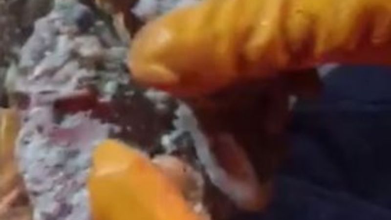 Kartal'da yıkılan binanın kolonundan deniz kabuğu çıktı