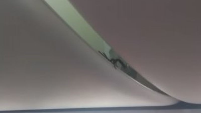 Endonezya'da uçakta akrep paniği