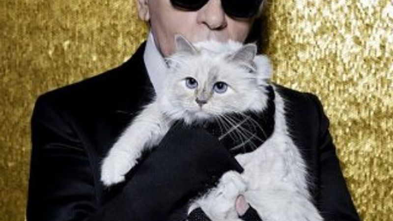 Moda ikonu tüm mirasını kedisine bıraktı