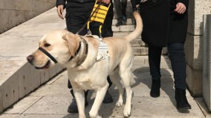 Terör gazisinin Bobby ile Meclis turu