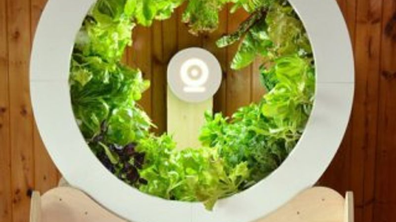 Evi bahçeye dönüştüren alet: OGarden