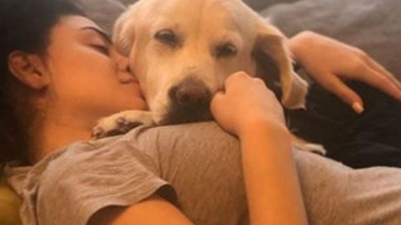 Dilan Çıtak Tatlıses: Canımı kaybettim