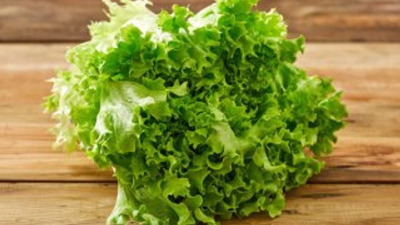 Şubatta en fazla kıvırcık salata fiyatı arttı