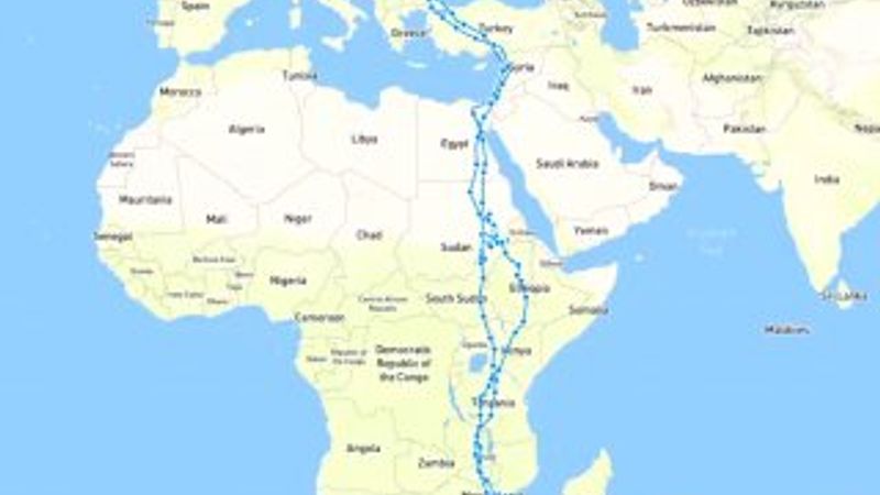 Leyleklerin göç yolları