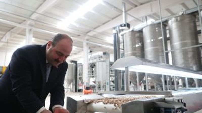 Bakan Varank: Bu proje ile dağ taş fıstık ağacı oldu